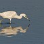 thumbs/IMG_1394.jpg